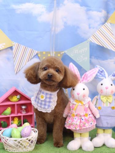 20240309ベルくん